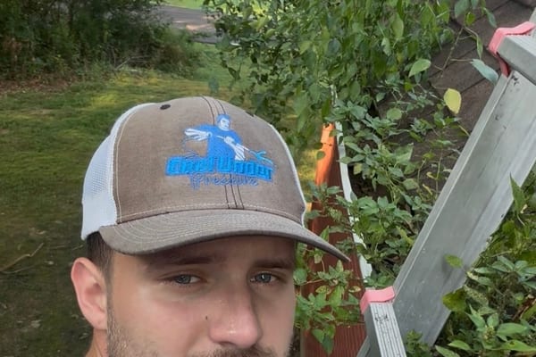 Gutter Cleaning