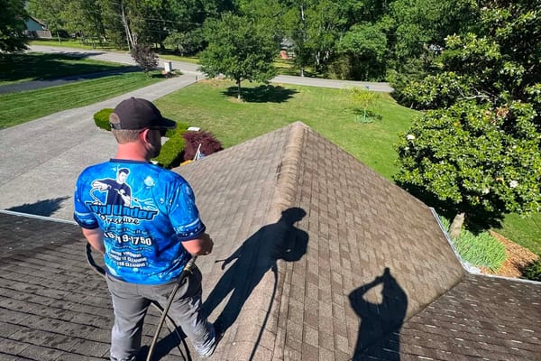 Roof Soft Washing